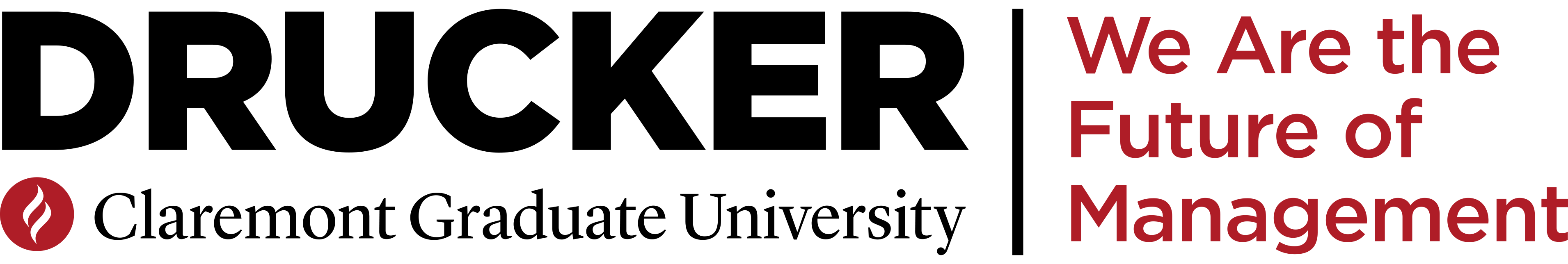 CGU DSM